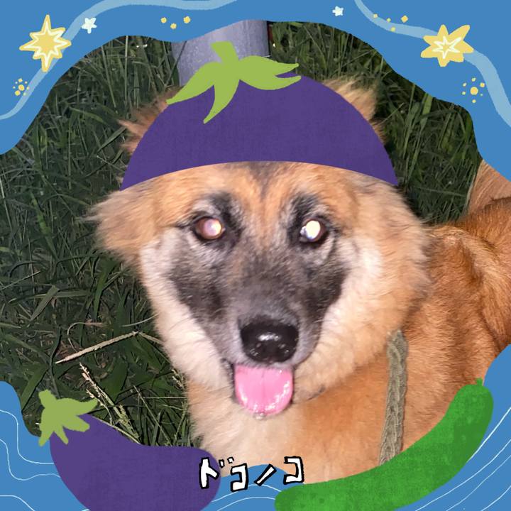 28f15631 509c 45b4 a029 5141cf7edde2 1755406465189