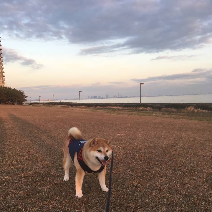 28f18898 43b4 48a4 aae0 e244ec6040c2 1545382433725