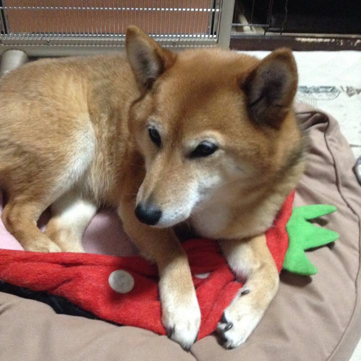 28f1a03e d75d 47aa a284 58f014cf88c6 1521291225409