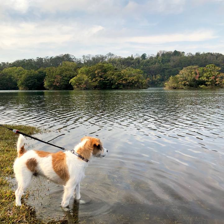 28f1be83 2acd 4997 bfae 88233ce627f4 1572613029426