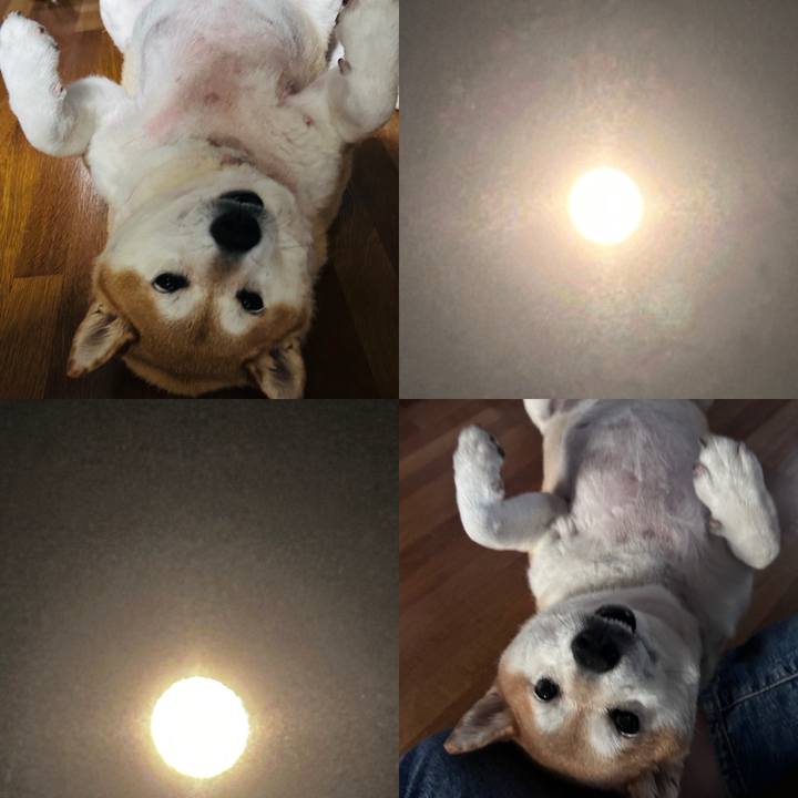 28f1d835 c30a 4605 95da 50056b430e0c 1729162547983