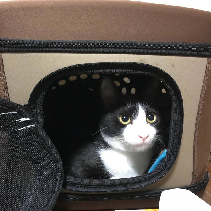 28f1db8e dd0a 4328 91ab 511ec89cae92 1529513507414