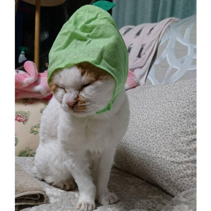 28f22b8f b882 4068 9293 055fda0d9921 1651746099115