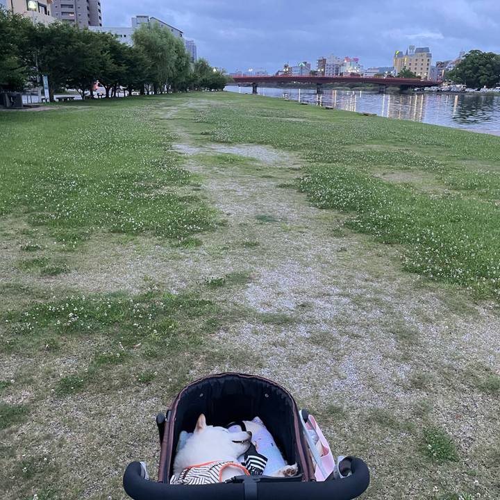 28f23e63 8683 4f78 97b1 f80cd5334e4c 1656329500216