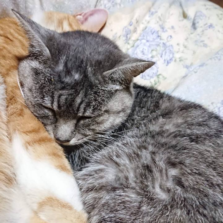 28f2410e 4184 4974 aea0 1b7a76c2836e 1606909507504