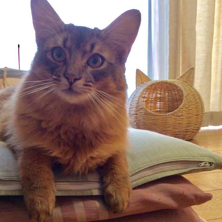 28f24ef0 b4e7 4491 8429 9310a9be397f 1596754097040