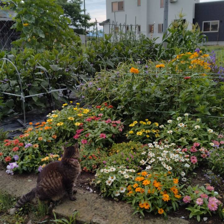 28f25048 1e0a 4de0 8673 38702e73ff14 1720478070711