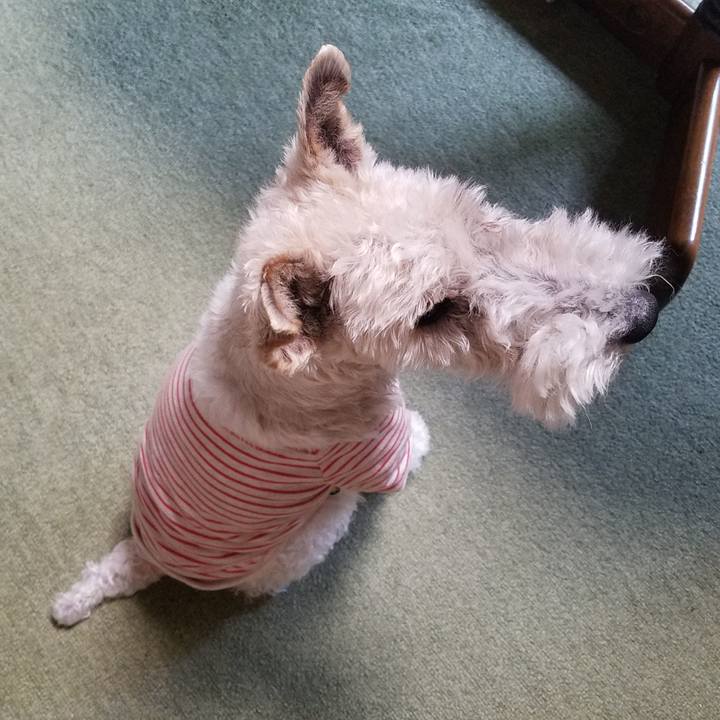 28f2ec22 cba0 4ac2 b255 8a4748719a54 1587513347763