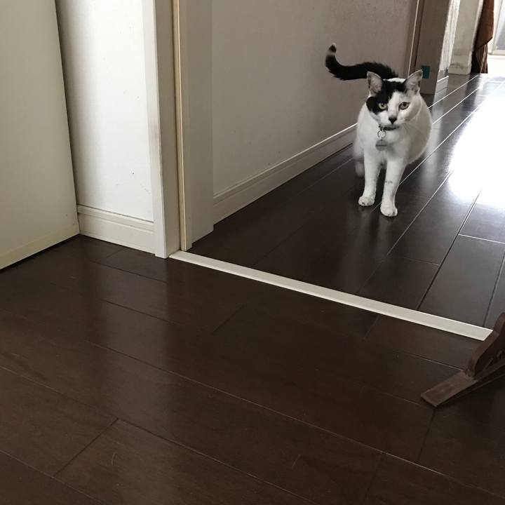 28f2f7cb 5e8a 4f8c 8d32 60ed5021eb36 1509284783309