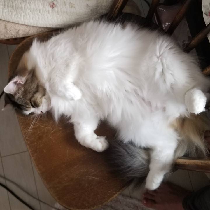 28f30353 3c5b 4f6e 9d52 4b452f068945 1566163769494