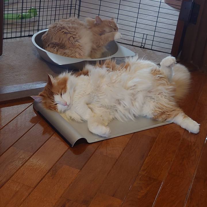 28f39550 53e3 4377 8245 c1163a765e47 1656737335390