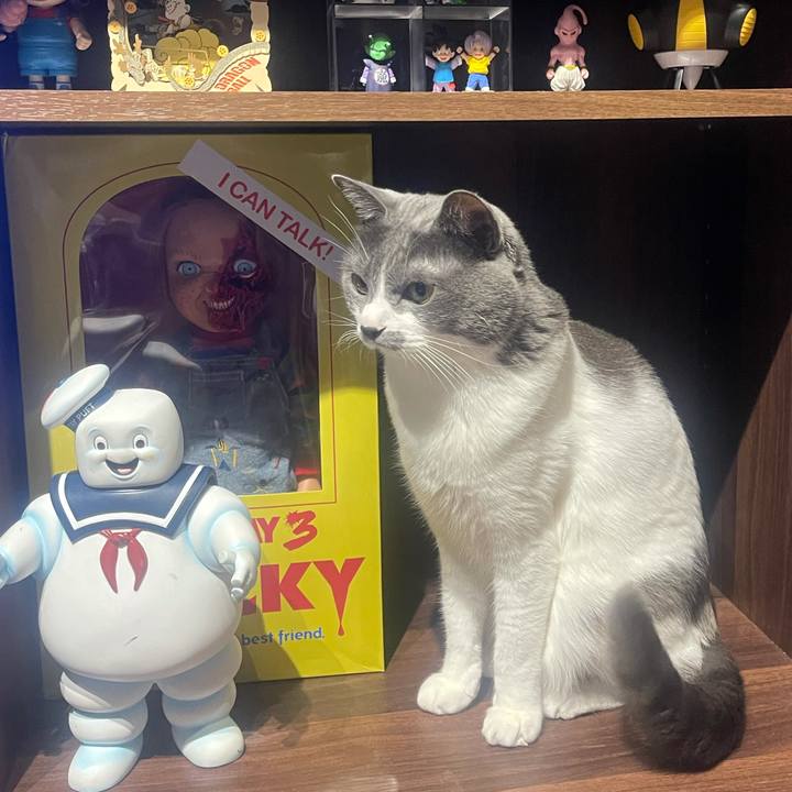 28f39f8c 4945 4fc8 9299 35e19dfe96ee 1641547378928