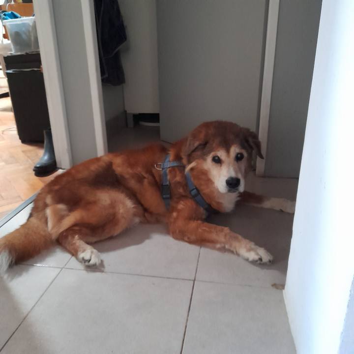 28f3bc62 cdce 4182 b25f 0d9c9e92a826 1772199975334