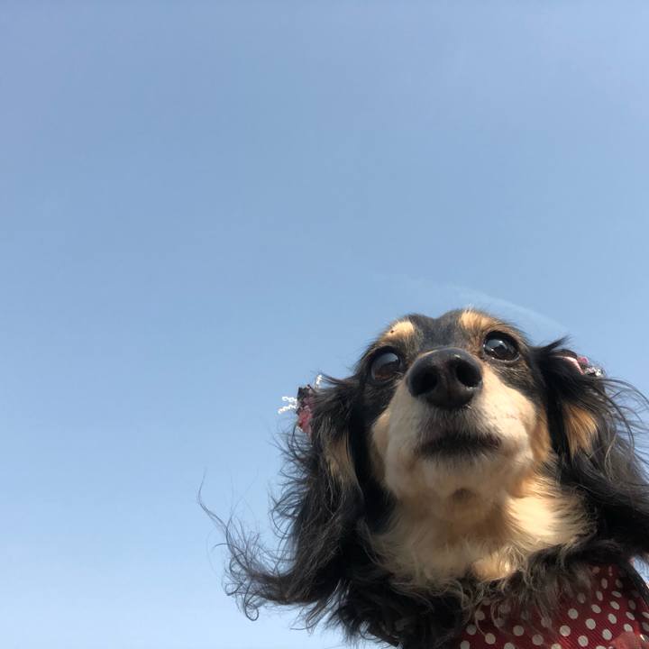 28f3eb5a d5cd 4c14 b30b 7f6aab20cdf5 1554594620659