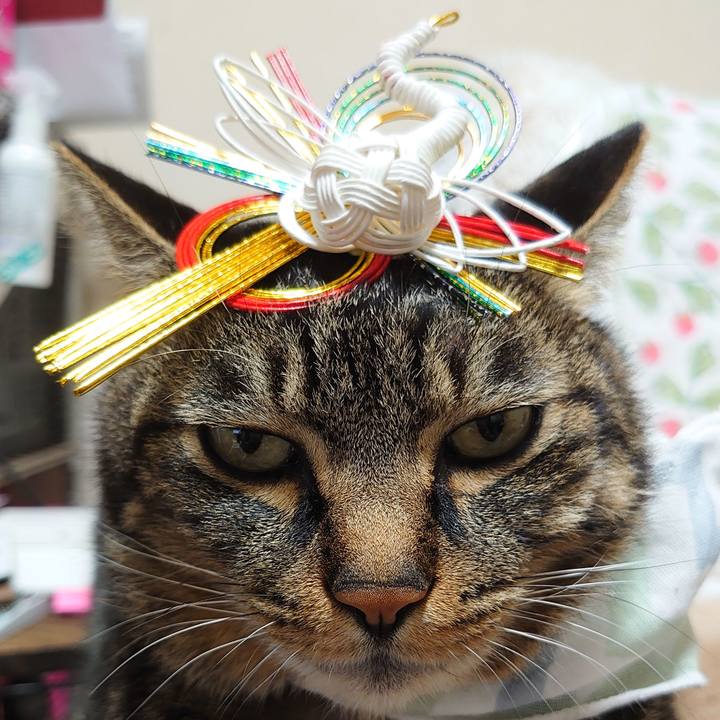 28f425b8 a31e 4a52 a707 322c018d813d 1610354348738