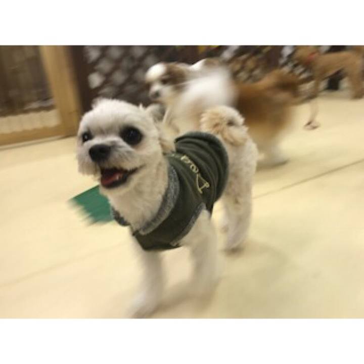 28f43e00 81a5 47be 92de 45128ae365ba 1521457260988