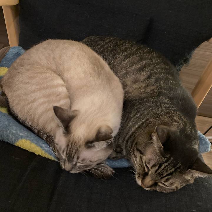 28f45233 f4e3 4f0d 94ba 496b93328968 1730457271069