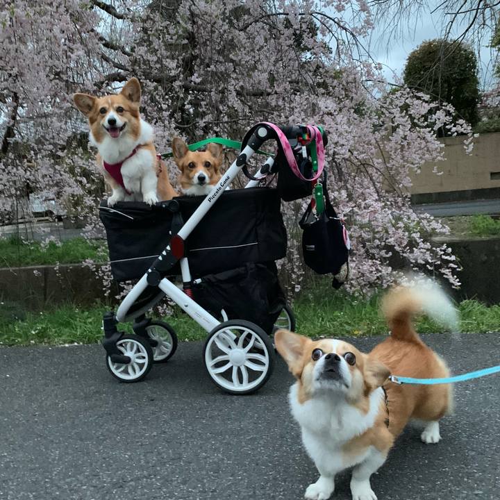 28f46429 569e 4b55 b127 d91f7788cbb7 1680866357445