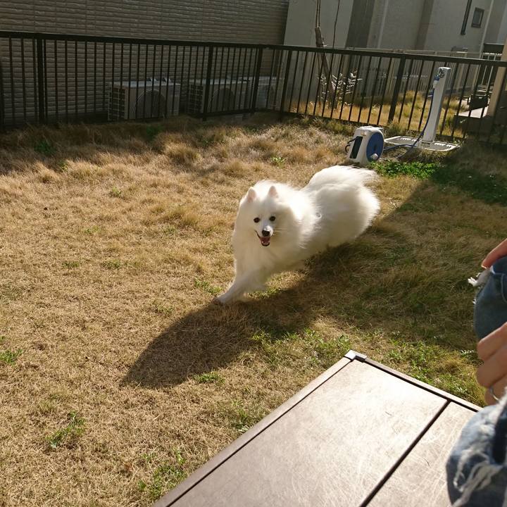 28f47812 4fc3 48c2 8617 6552793dbbc0 1586590588329