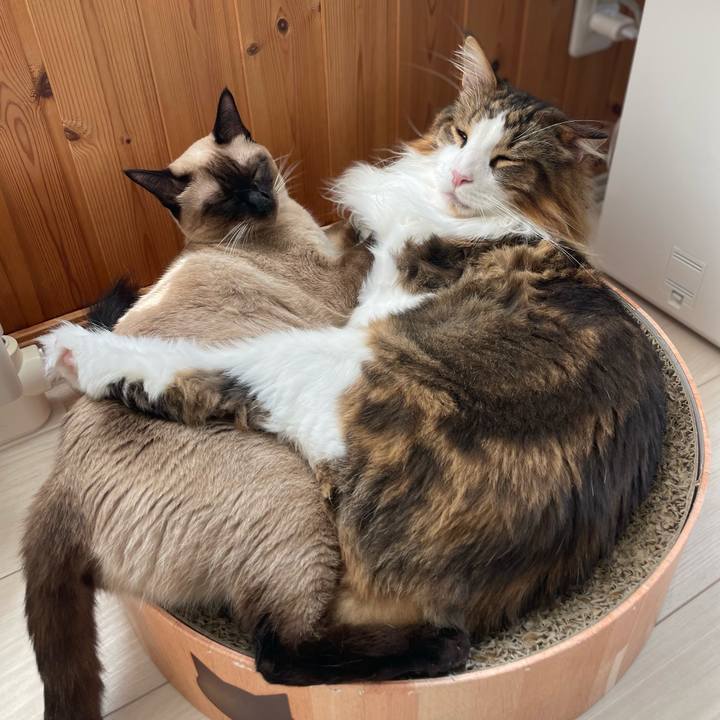 28f49e4f e27e 42ee 9d25 b51fa575ace4 1724570091669