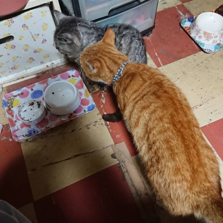 28f4c61f 2035 4607 9fdb 6e0c5c628072 1572896840707