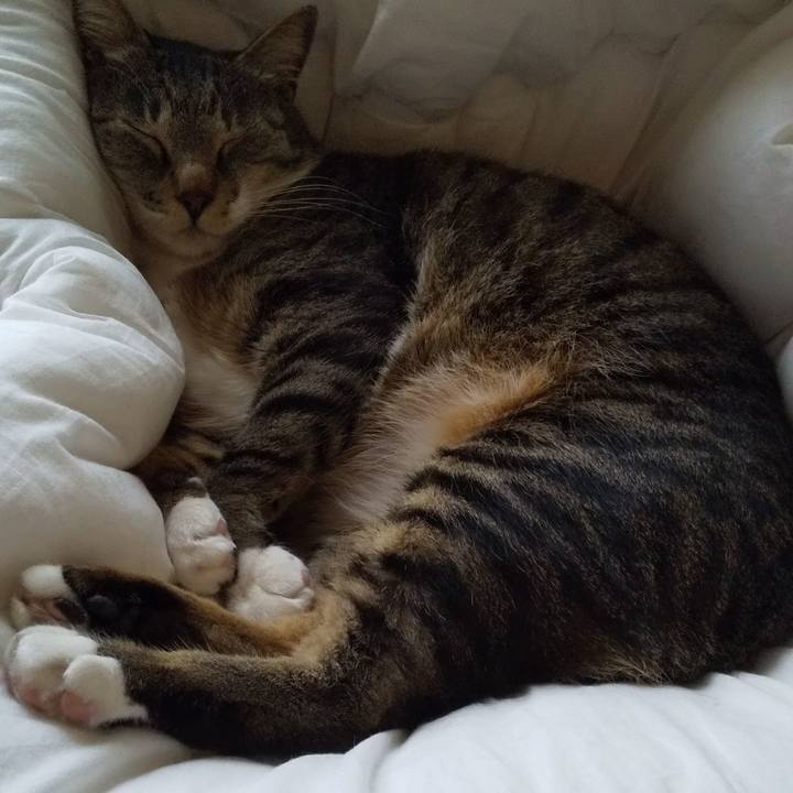 28f4dd7d 2638 4ee8 b5bc 10cb4e983054 1653102444198