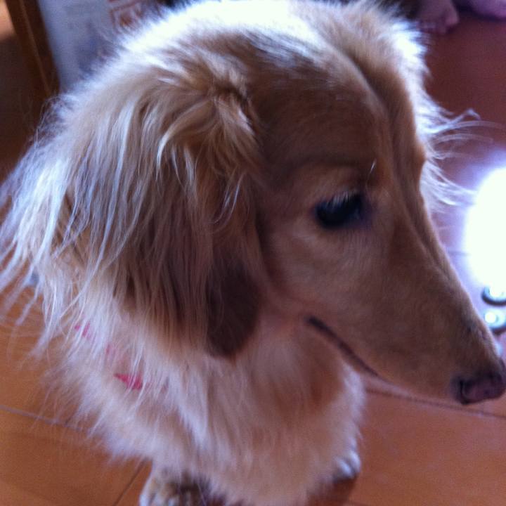 28f4e83d 56cb 4083 be40 868321ec61dd 1593299468519