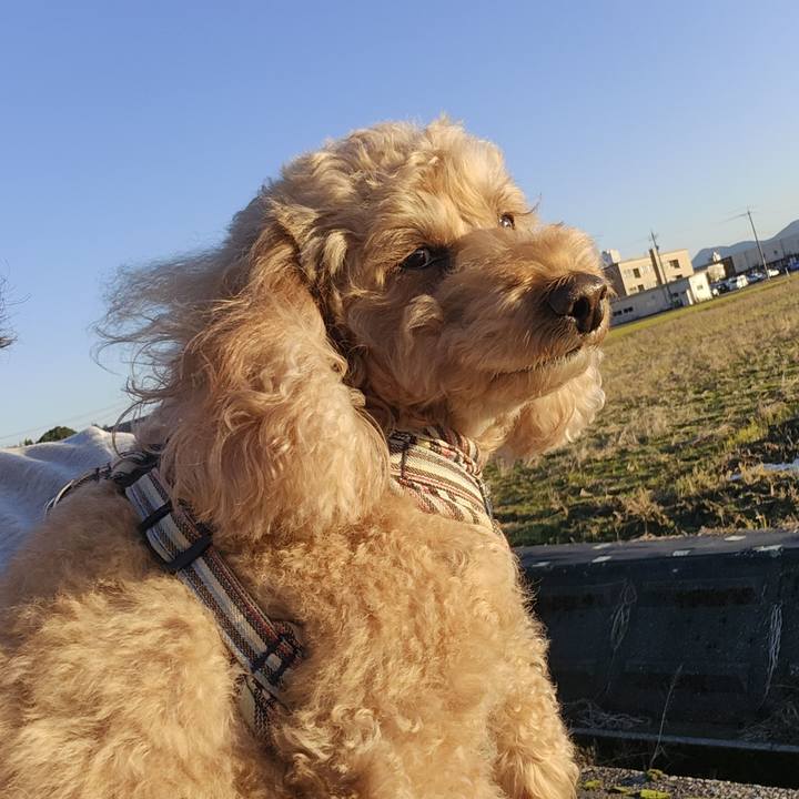 28f4fe44 9eac 4690 991a 3865748ce542 1764403152555