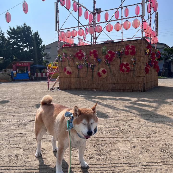 28f51651 484b 4801 ba45 0edbed3b153f 1722727637609