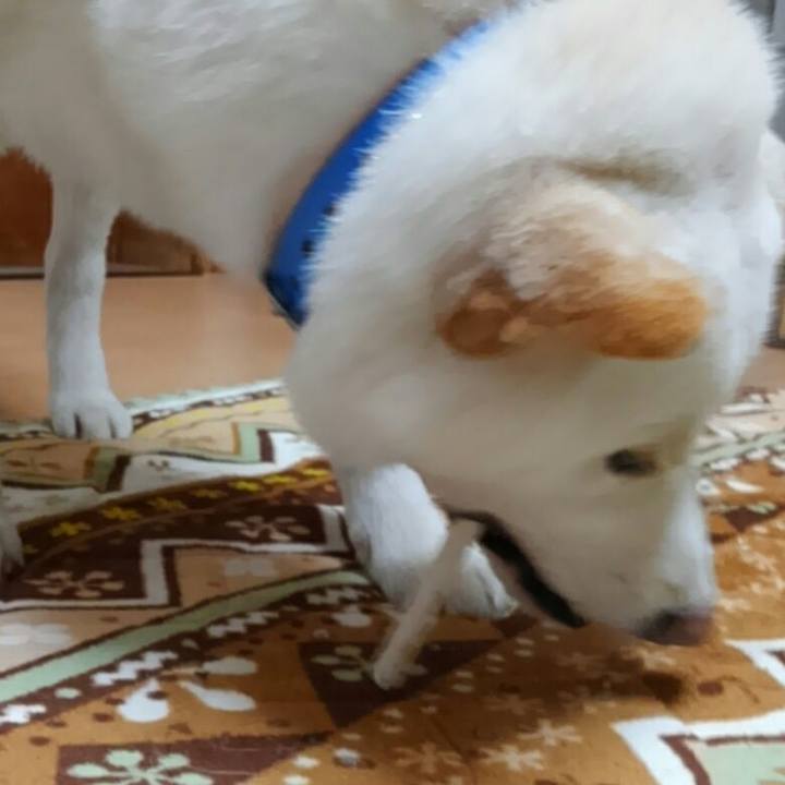 28f5335c 7b80 43f2 bbf7 d98d95e7aea1 1518866824613