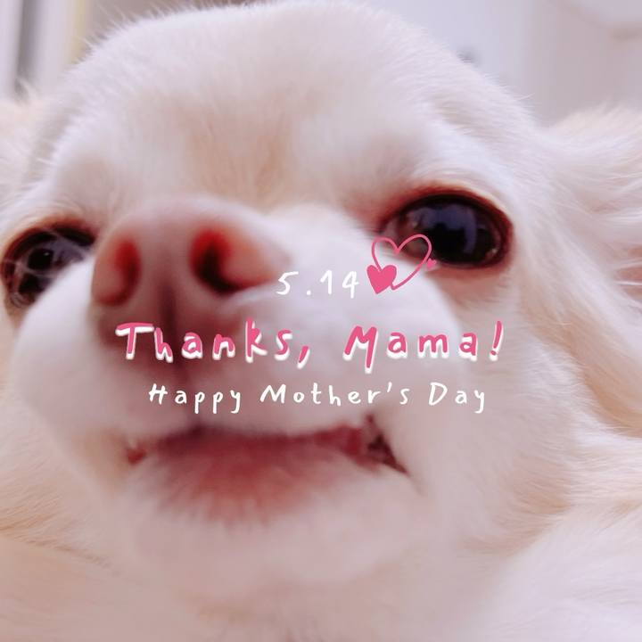 28f556b7 a711 4d4c 8db6 dd2f4c193d0a 1684048485268