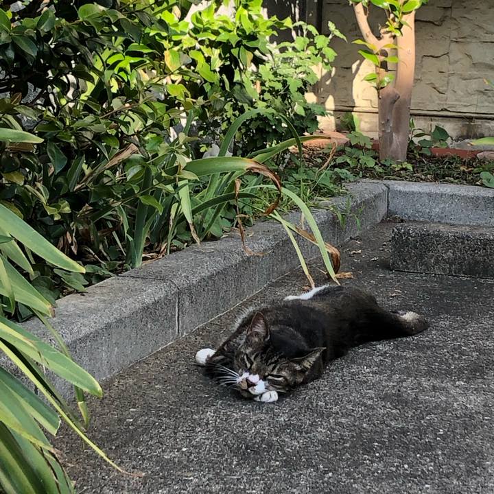 28f58a09 8da4 4d4f b86f ff11992b2d45 1569073221445