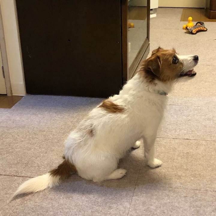 28f59551 3688 4552 807f 513772b6f039 1572736959693