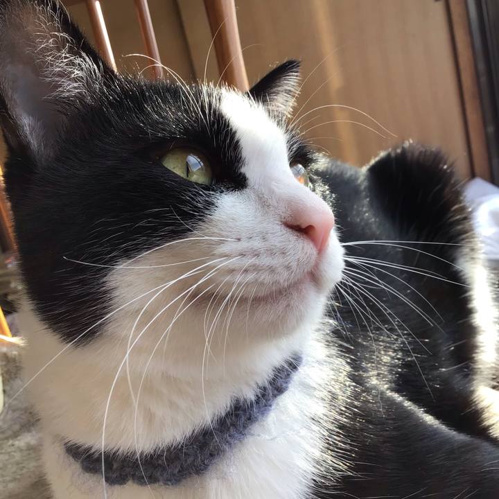 28f5a457 b1ac 4ab6 b2ef 960e3c9238cf 1667093581902