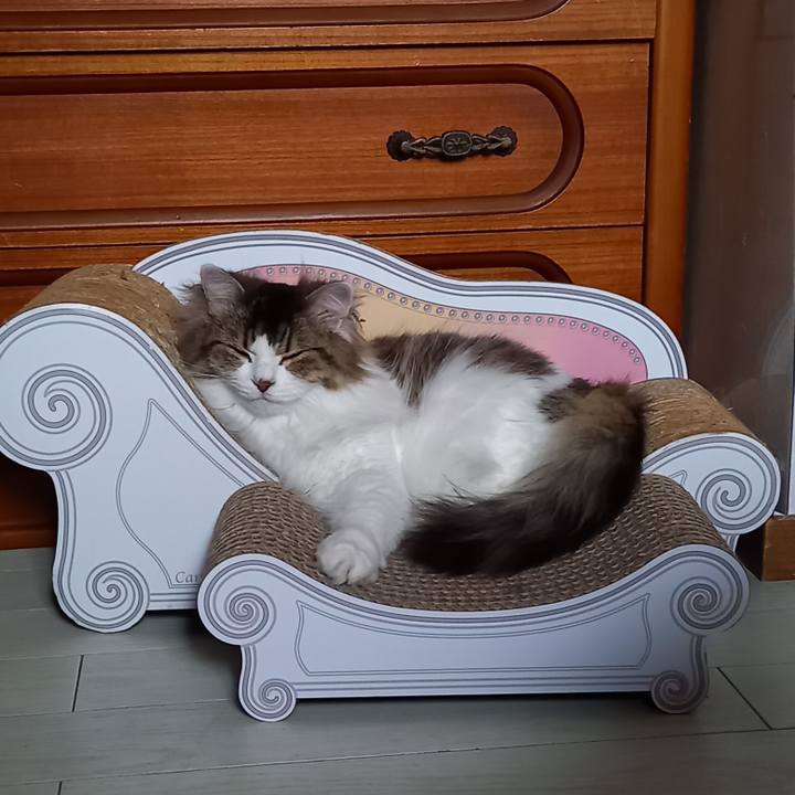 28f5a585 7c34 47c6 919b 0c56c78acb37 1622843990501