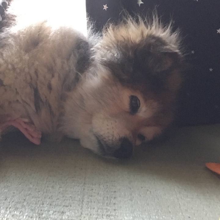 28f5b443 0b8e 4ded ab3c 2b63ad0b778b 1618015579815