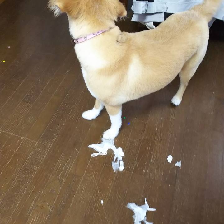 28f5fb3a 6055 4304 ac0c 8f88ad3b20b0 1551517280896