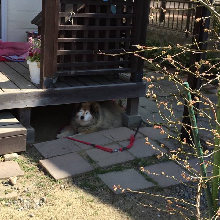 28f5fc84 8a93 4125 abc9 235a37f0b148 1573892475185