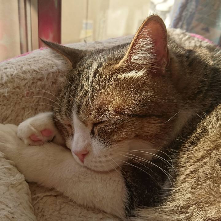 28f60cae d43f 459a 950b 4519effff38b 1550841810980