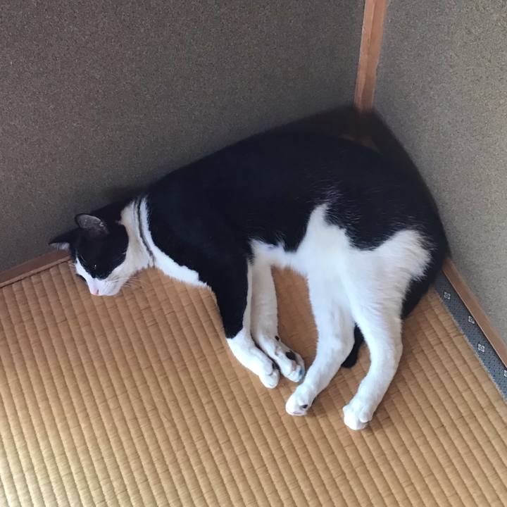 28f67872 0320 4b8a 8809 1a4298d2f6ea 1657254928846