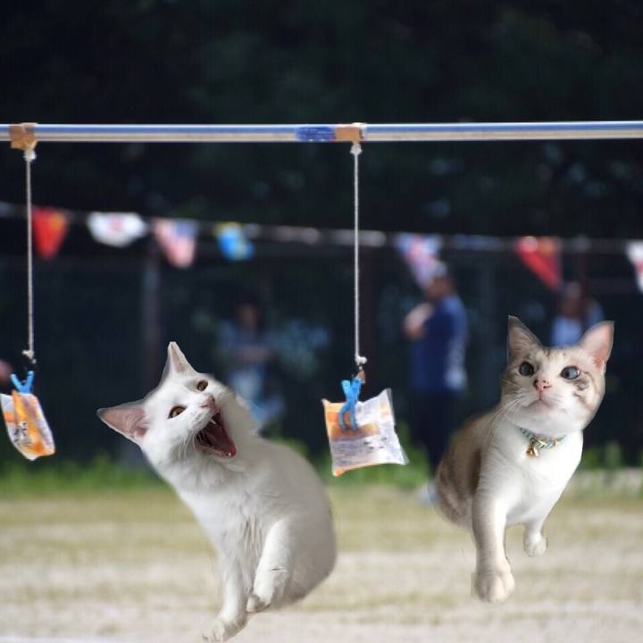 28f679e7 3e9e 461e ad4e f226189379bf 1539433332029