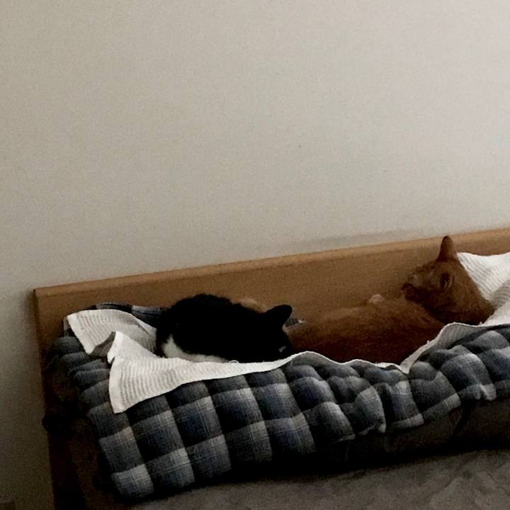 28f70f15 b4f8 44ec a7cf 95a7572efd52 1565750177439