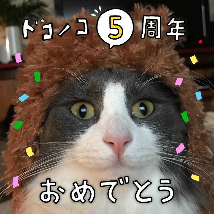 28f71974 f06d 4e5e ac21 850f33e30e37 1622939760255