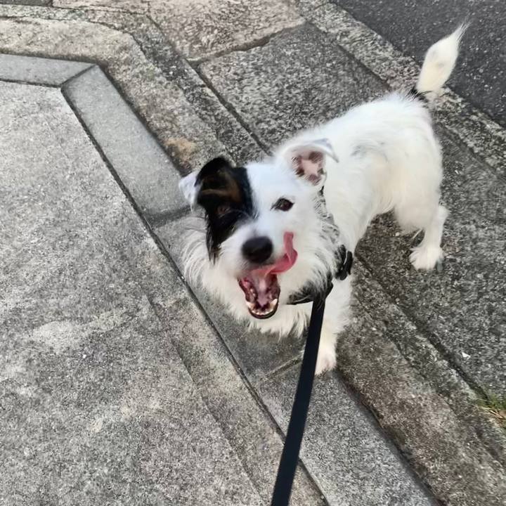 28f7331b 7b08 4439 a6d9 7bfac8940173 1569916721074