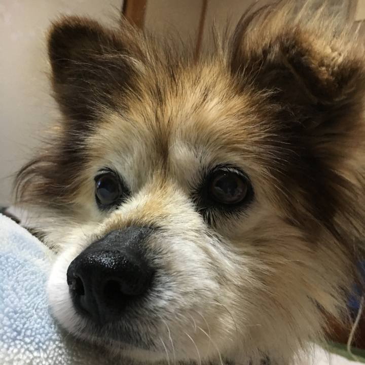 28f767a3 19ad 406e b539 b900788cfd56 1595257820262