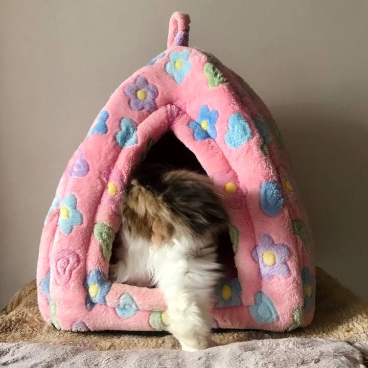 28f78ad7 ca04 47ea a0df 1d1b40a1c7bb 1638540354129