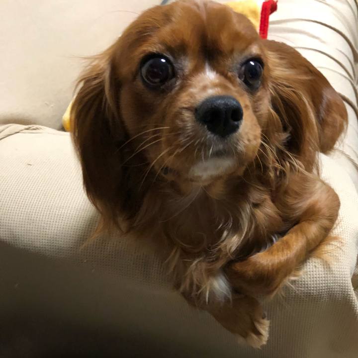 28f7b956 339c 42e3 bcd5 f39462182be6 1526336692341