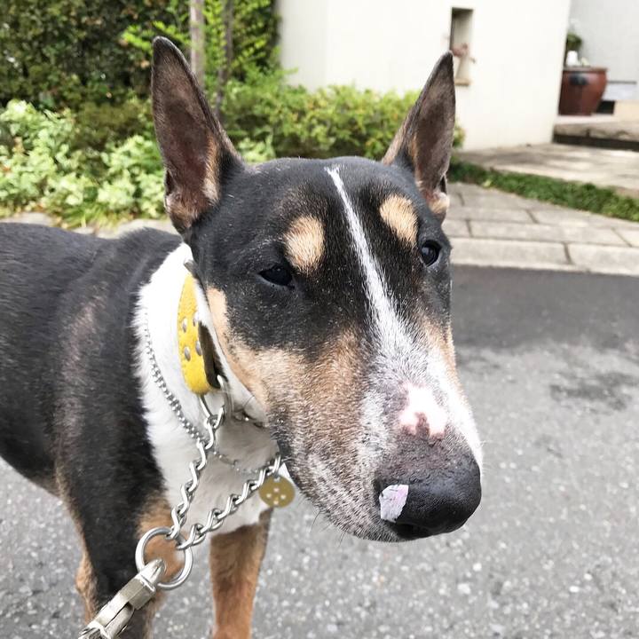 28f7be60 0a1f 48a5 bd04 04008590eba2 1522972521784