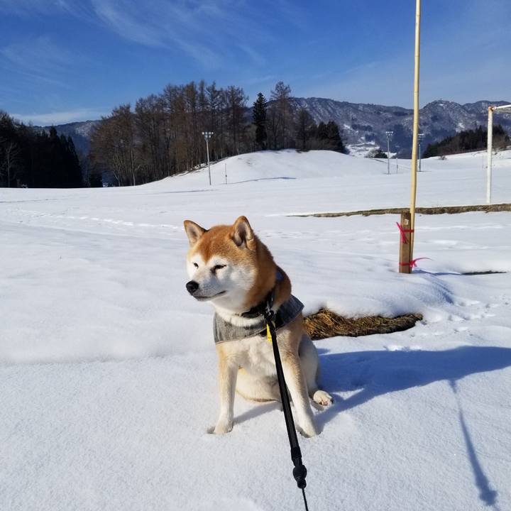 28f7cf39 6ac2 4b29 8744 1335812f8260 1640319946907