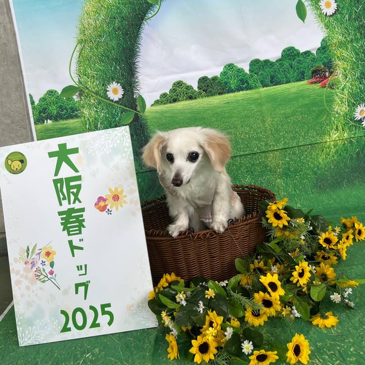 28f7d17b 6005 404d 86f0 6e6c97c6e814 1745227921842